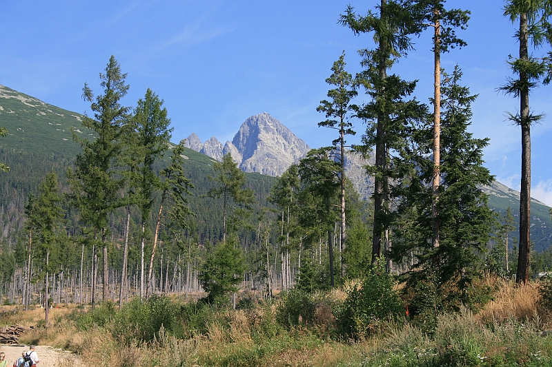 slawkowskiszczyt09.2008 009